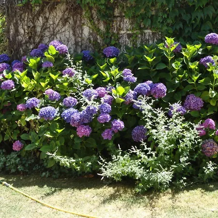 Les Hortensias Σπίτι διακοπών *