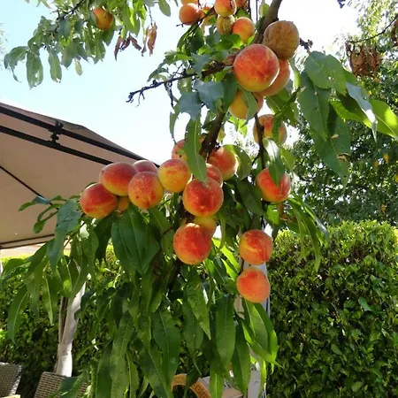 Les Hortensias Σπίτι διακοπών Vasles